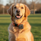 Smart Bluetooth Pet Tracker (Apple Find My) Compatible, MFi Certified Collar Locator