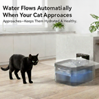 Wireless Smart Pet Water Fountain (2.2L / 74oz Capacity)