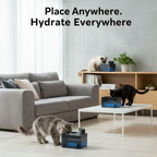 Wireless Smart Pet Water Fountain (2.2L / 74oz Capacity)