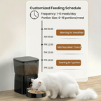 Automatic Pet Feeder